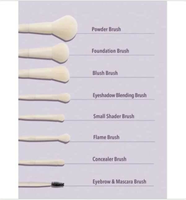 ست براش ۸ عددی شیگلم SHEGLAM Pro Core Brush Set – 8PCS - Image 5